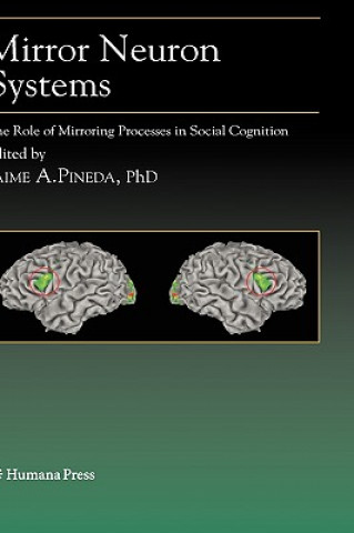 Buch Mirror Neuron Systems Jaime A. Pineda