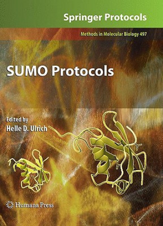 Książka SUMO Protocols Helle D. Ulrich