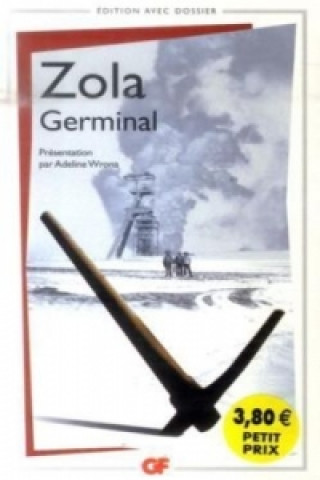 Libro Germinal, französische Ausgabe Émile Zola