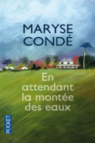 Knjiga En attendant la montee des eaux Maryse Conde