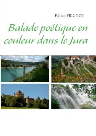 Libro Balade poetique en couleur dans le Jura Fabien Prignot