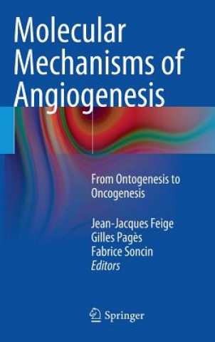 Книга Molecular Mechanisms of Angiogenesis Jean-Jacques Feige