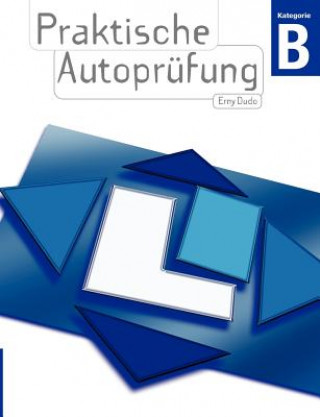 Könyv Praktische Autoprufung Dudo Erny