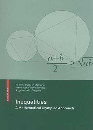 Buch Inequalities Radmila Bulajich Manfrino