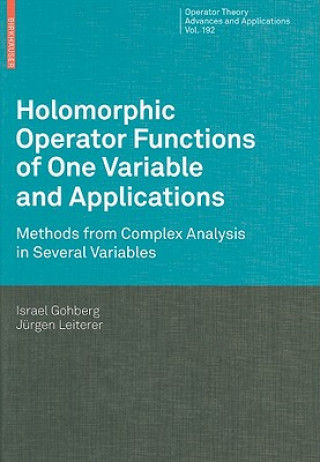 Könyv Holomorphic Operator Functions of One Variable and Applications Israel Gohberg