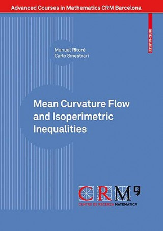 Könyv Mean Curvature Flow and Isoperimetric Inequalities Manuel Ritore