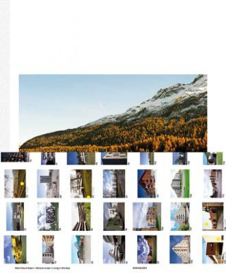 Kniha Wohn Raum Alpen. Abitare le alpi. Living in the Alps Peter Ebner