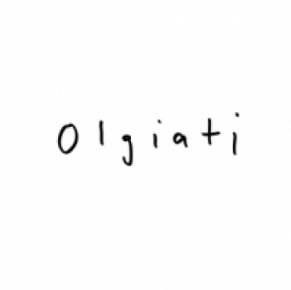 Kniha Olgiati Valerio Olgiati