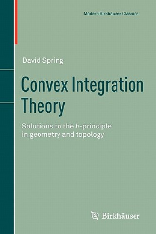 Kniha Convex Integration Theory David Spring
