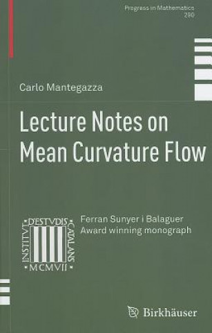 Carte Lecture Notes on Mean Curvature Flow Carlo Mantegazza