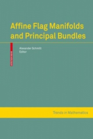 Könyv Affine Flag Manifolds and Principal Bundles Alexander Schmitt