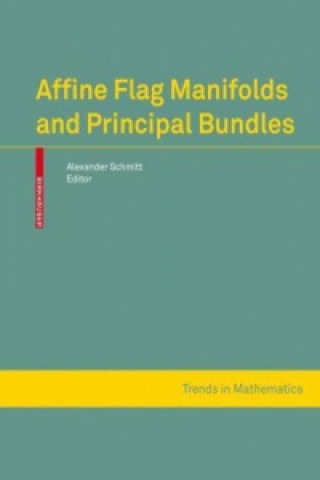 Buch Affine Flag Manifolds and Principal Bundles Alexander Schmitt