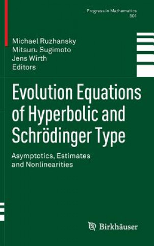 Könyv Evolution Equations of Hyperbolic and Schroedinger Type Michael Ruzhansky