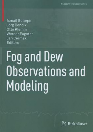 Книга Fog and Dew Observations and Modeling Ismail Gultepe
