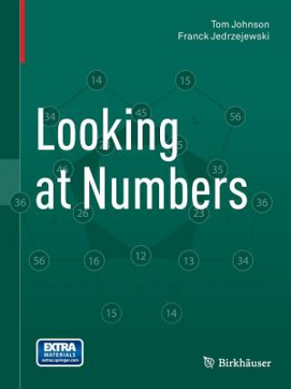 Książka Looking at Numbers Tom Johnson