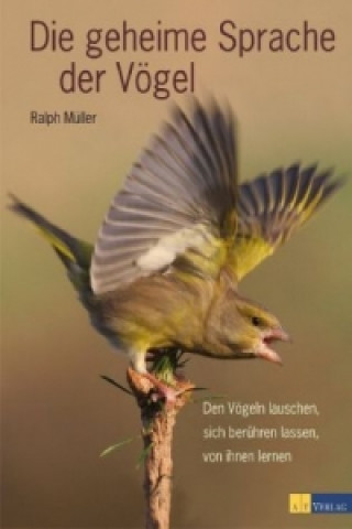 Kniha Die geheime Sprache der Vögel Ralph Müller