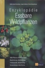 Kniha Enzyklopädie essbare Wildpflanzen Steffen Guido Fleischhauer