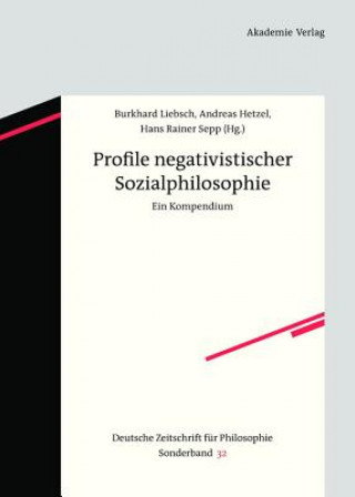Könyv Profile negativistischer Sozialphilosophie Burkhard Liebsch
