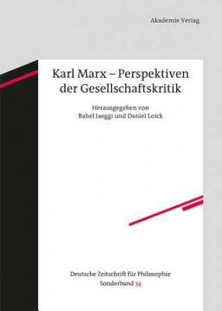 Könyv Karl Marx - Perspektiven der Gesellschaftskritik Karl Marx