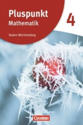Kniha Pluspunkt Mathematik - Baden-Württemberg - Neubearbeitung - Band 4 Rainer Bamberg