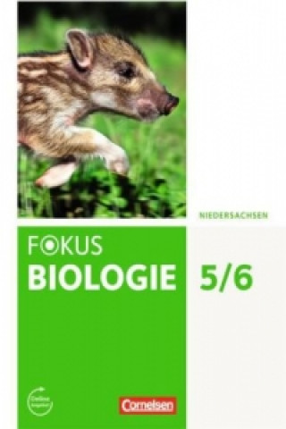 Könyv Fokus Biologie - Neubearbeitung - Gymnasium Niedersachsen G9 - 5./6. Schuljahr Julia Budde