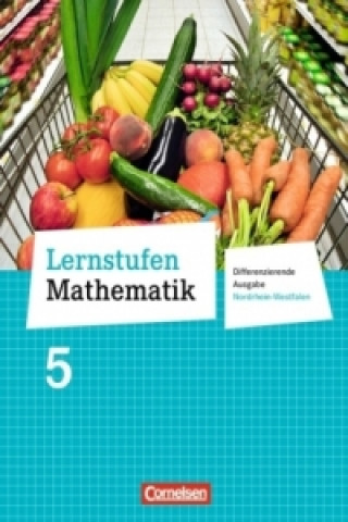 Kniha Lernstufen Mathematik - Differenzierende Ausgabe Nordrhein-Westfalen - 5. Schuljahr Manfred Leppig