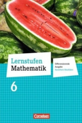 Könyv Lernstufen Mathematik - Differenzierende Ausgabe Nordrhein-Westfalen - 6. Schuljahr Manfred Leppig