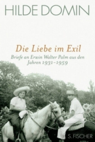Kniha Die Liebe im Exil Hilde Domin