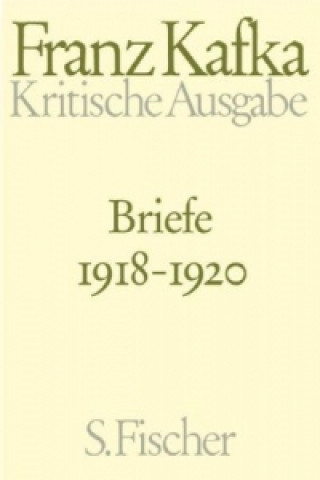 Könyv Briefe 1918-1920 Hans-Gerd Koch
