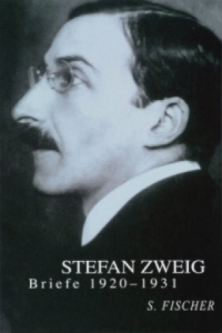 Livre Briefe 1920-1931 Stefan Zweig