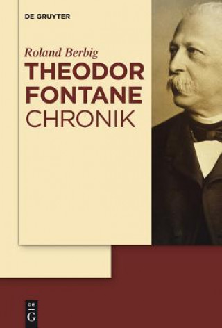 Knjiga Theodor Fontane Chronik Roland Berbig