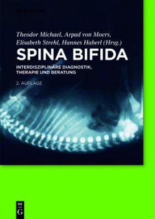 Книга Spina bifida Theodor Michael