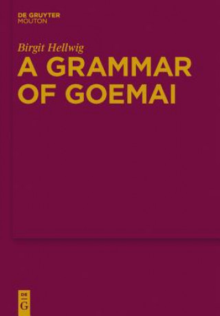 Kniha Grammar of Goemai Birgit Hellwig