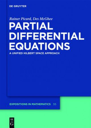 Kniha Partial Differential Equations Rainer Picard