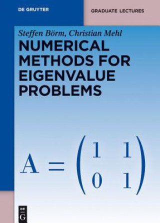 Knjiga Numerical Methods for Eigenvalue Problems Steffen Börm