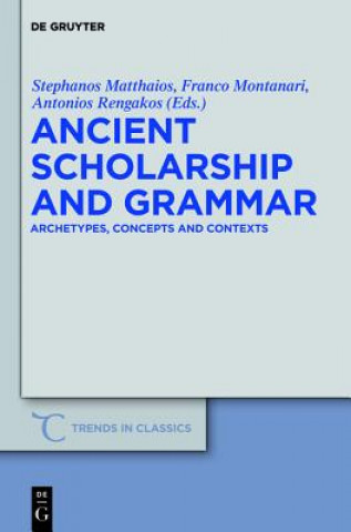 Könyv Ancient Scholarship and Grammar Stephanos Matthaios