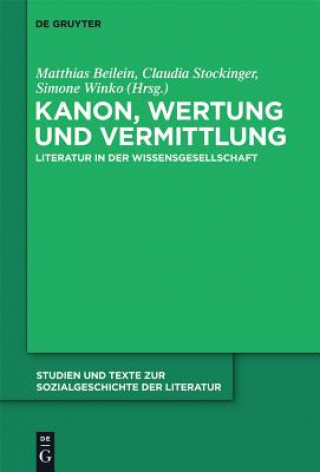Könyv Kanon, Wertung und Vermittlung Matthias Beilein