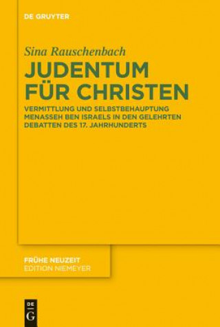 Könyv Judentum fur Christen Sina Rauschenbach