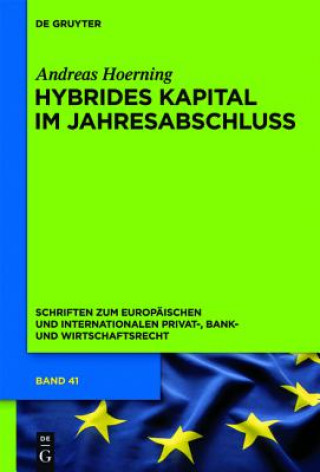 Book Hybrides Kapital im Jahresabschluss Andreas Hoerning