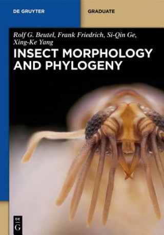 Könyv Insect Morphology and Phylogeny Rolf G. Beutel