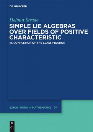 Kniha Simple Lie Algebras over Fields of Positive Characteristic. Vol.III Helmut Strade