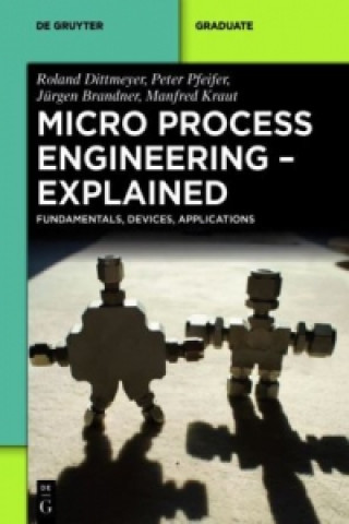 Buch Micro Process Engineering - Explained Roland Dittmeyer