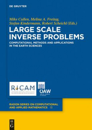 Książka Large Scale Inverse Problems Mike Cullen