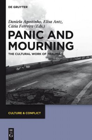 Kniha Panic and Mourning Daniela Agostinho