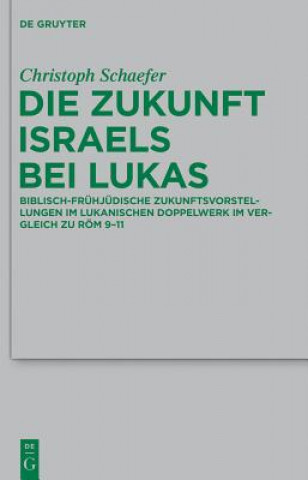 Kniha Zukunft Israels bei Lukas Christoph Schaefer