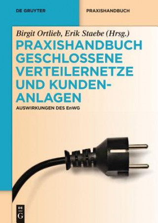 Carte Praxishandbuch Geschlossene Verteilernetze und Kundenanlagen Birgit Ortlieb