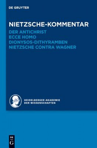Könyv Historischer und kritischer Kommentar zu Friedrich Nietzsches Werken, Band 6.2, Nietzsche-Kommentar Andreas U. Sommer