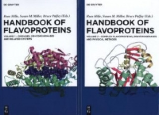 Knjiga Set: Handbook of Flavoproteins, 2 Teile Russ Hille