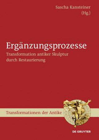 Könyv Erganzungsprozesse Sascha Kansteiner
