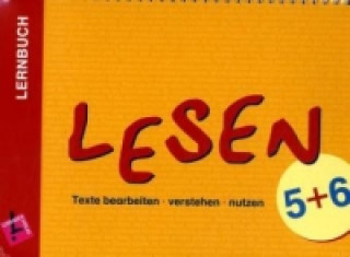 Kniha Lernbuch: Lesen. Texte bearbeiten - verstehen - nutzen Petra Druschky